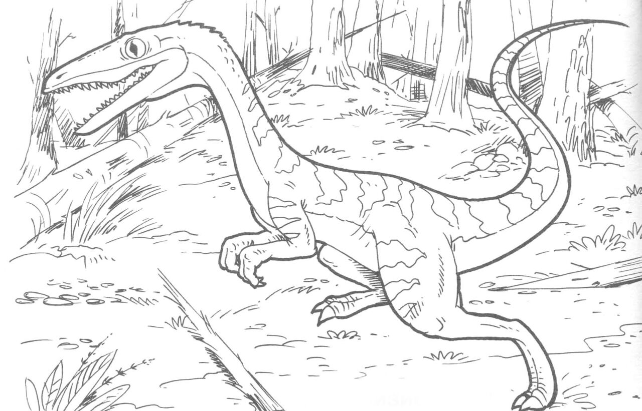 Desenho de Celofise para colorir e imprimir: número 3