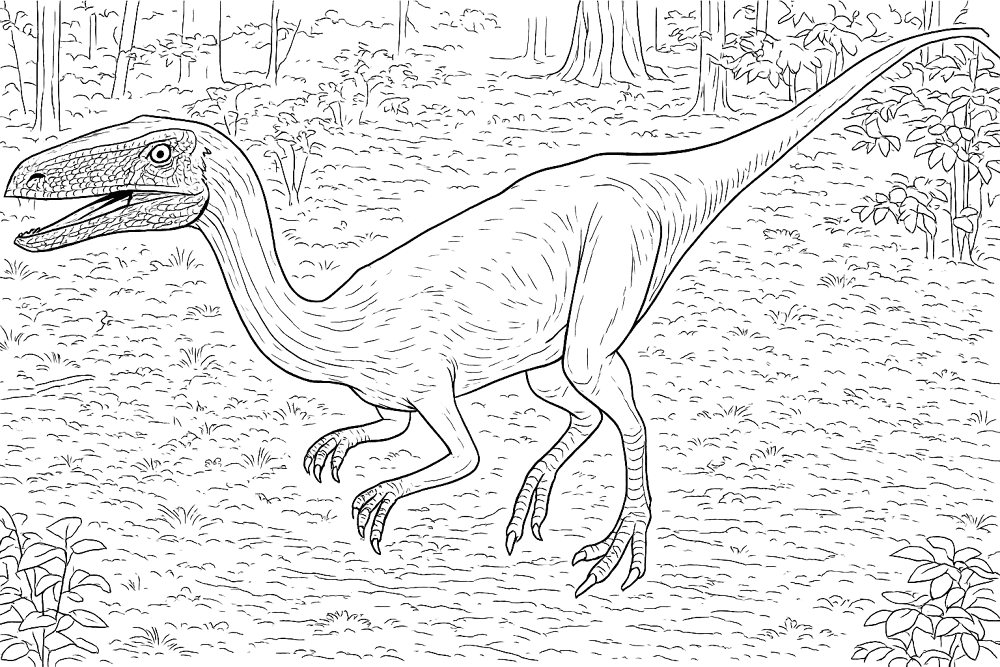 Desenho de Celofise para colorir e imprimir: número 11