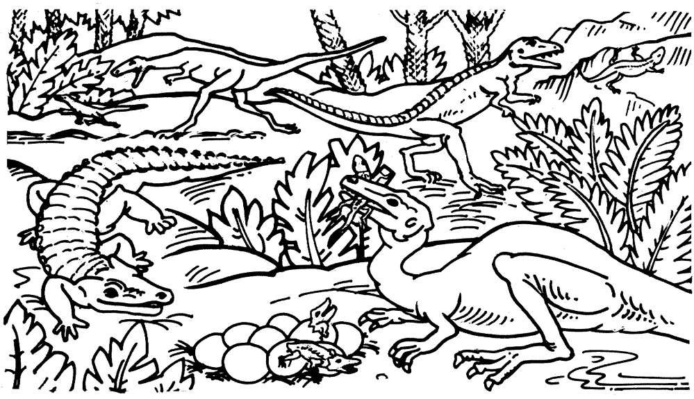 Desenho de Celofise para colorir e imprimir: número 14