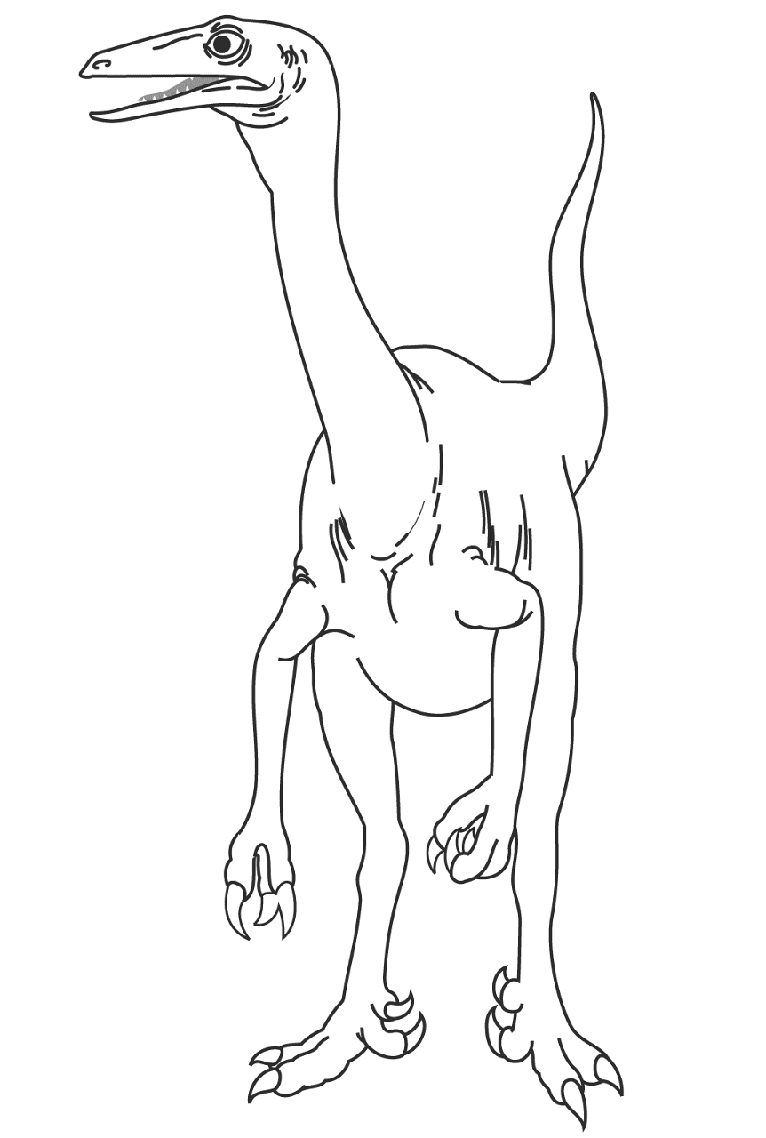 Desenho de Celofise para colorir e imprimir: número 17