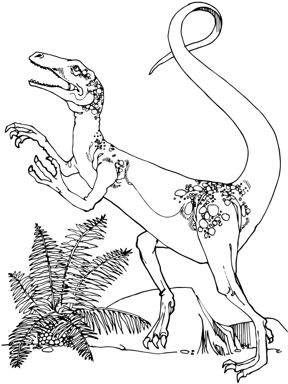 Desenho de Celofise para colorir e imprimir: número 18