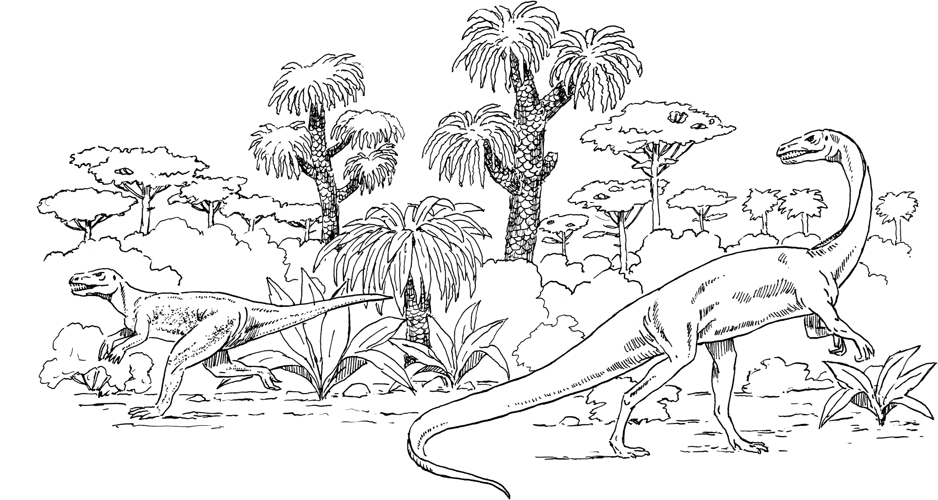 Desenho de Celofise para colorir e imprimir: número 19