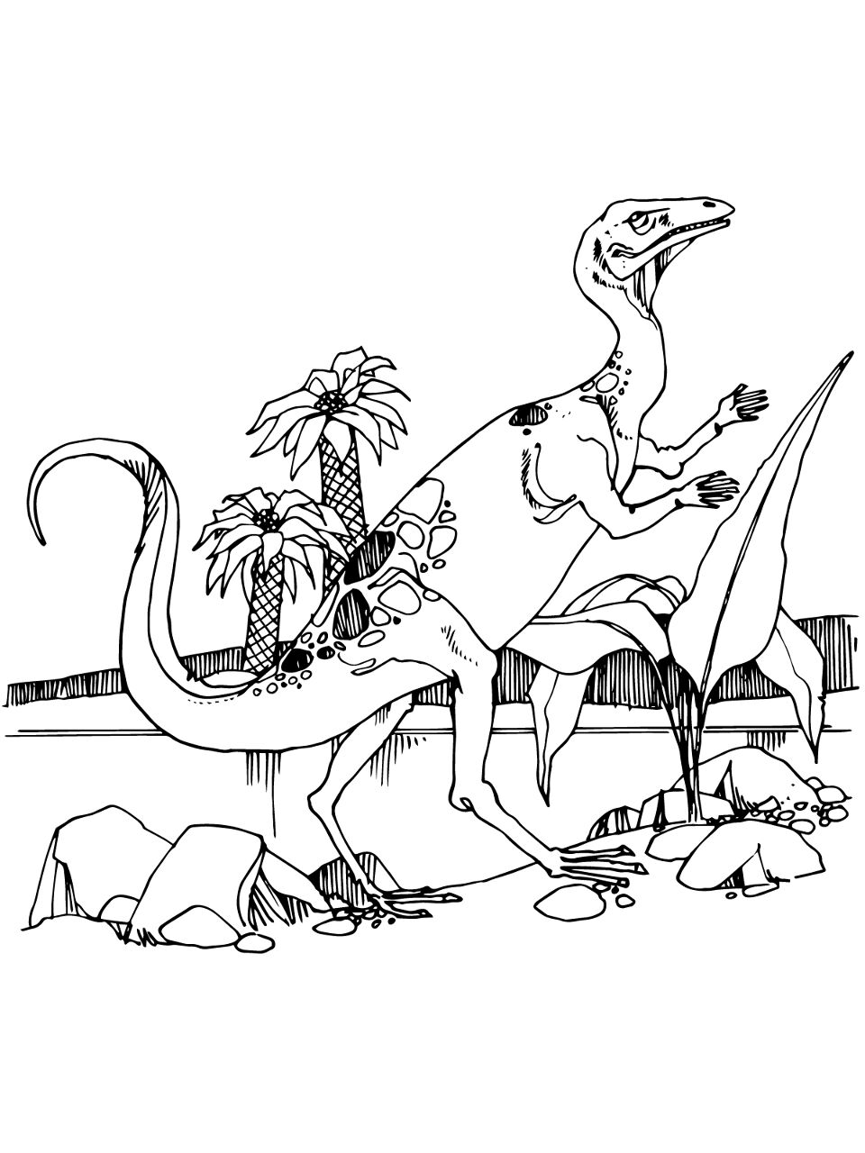 Desenho de Celofise para colorir e imprimir: número 20