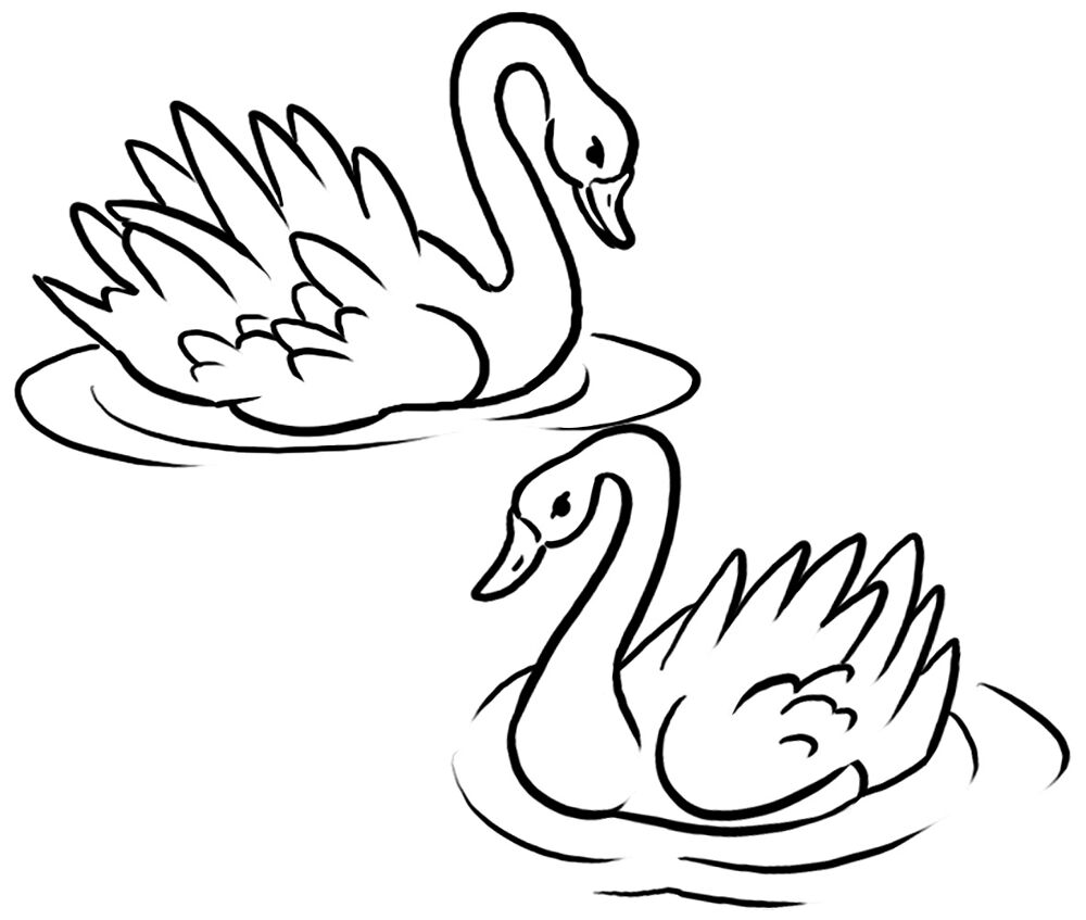 Desenho de Cisnes para colorir e imprimir: número 2