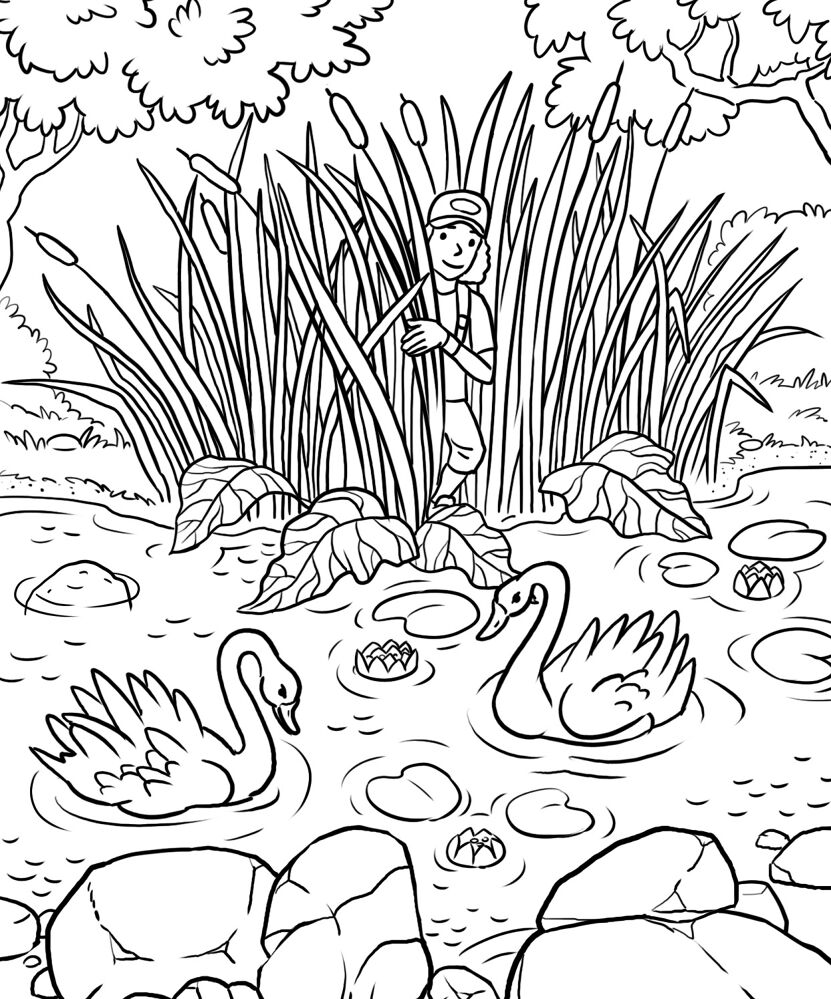 Desenho de Cisnes para colorir e imprimir: número 3