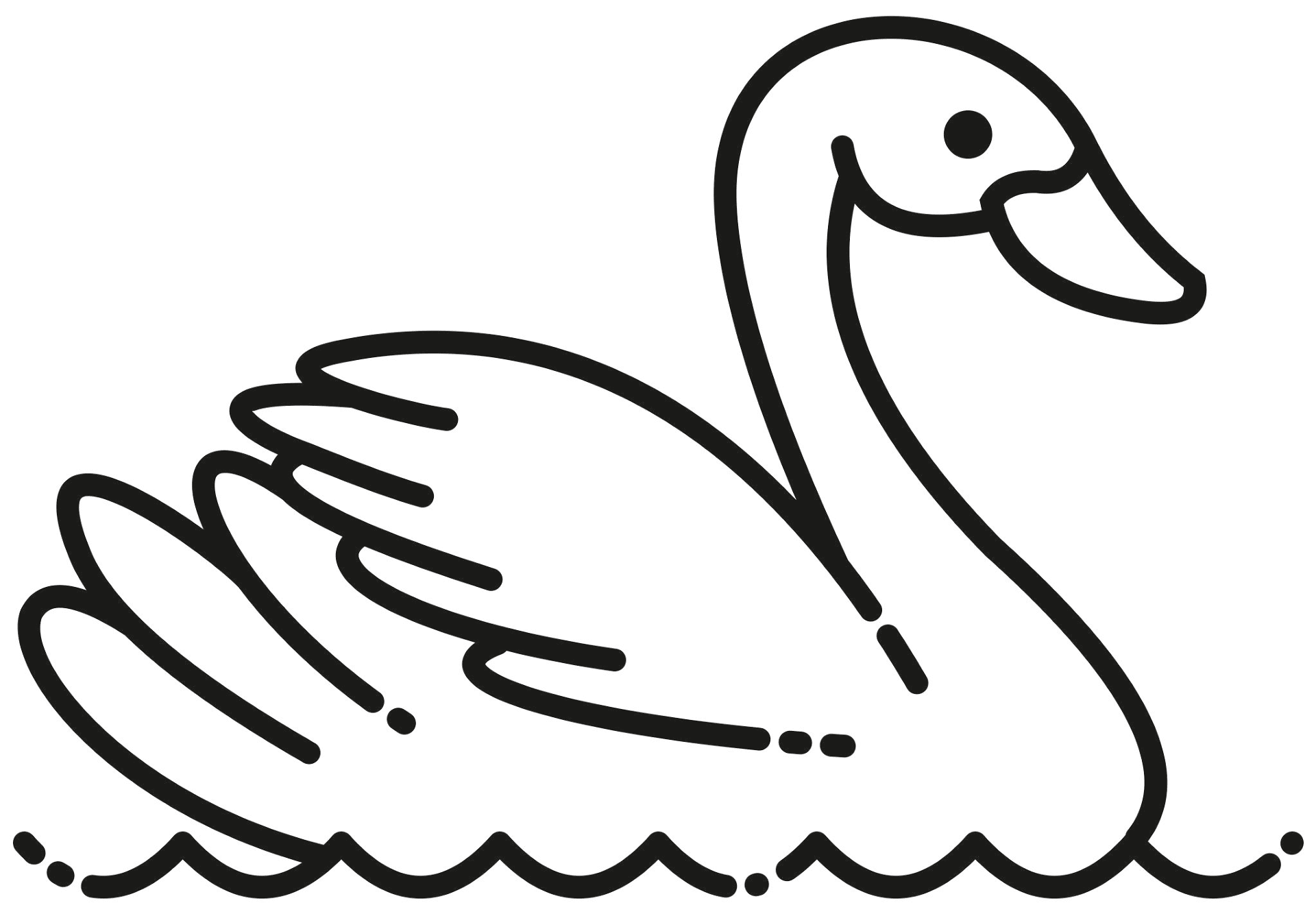 Desenho de Cisnes para colorir e imprimir: número 4