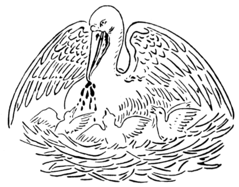Desenho de Cisnes para colorir e imprimir: número 10