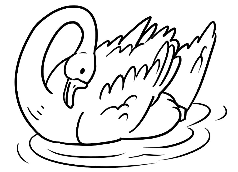 Desenho de Cisnes para colorir e imprimir: número 11