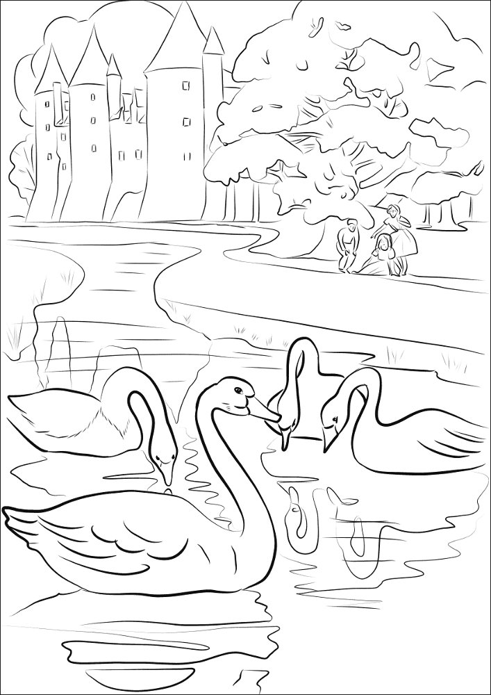 Desenho de Cisnes para colorir e imprimir: número 13