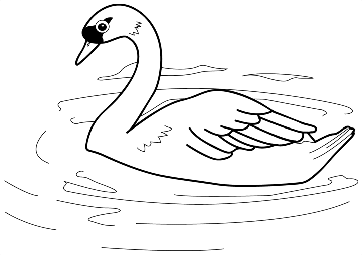 Desenho de Cisnes para colorir e imprimir: número 15