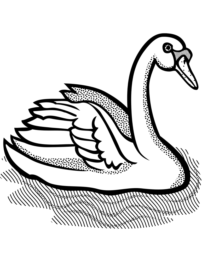 Desenho de Cisnes para colorir e imprimir: número 22