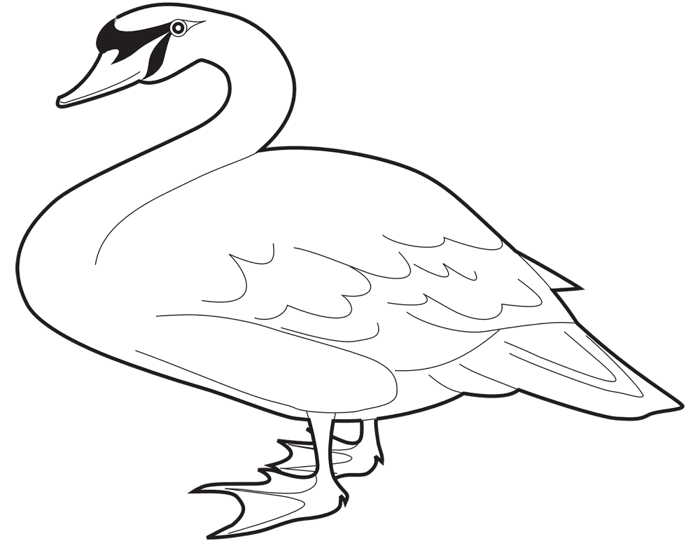 Desenho de Cisnes para colorir e imprimir: número 23