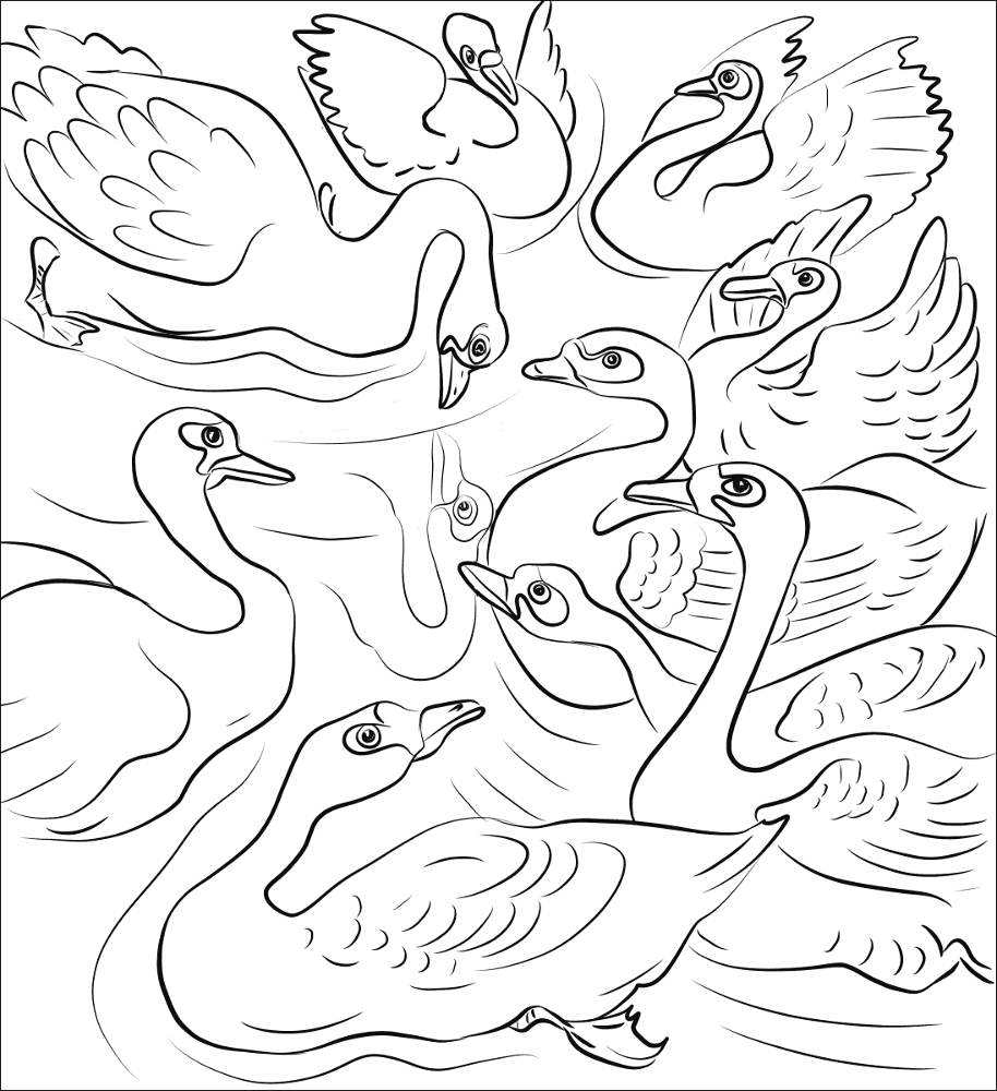 Desenho de Cisnes para colorir e imprimir: número 24