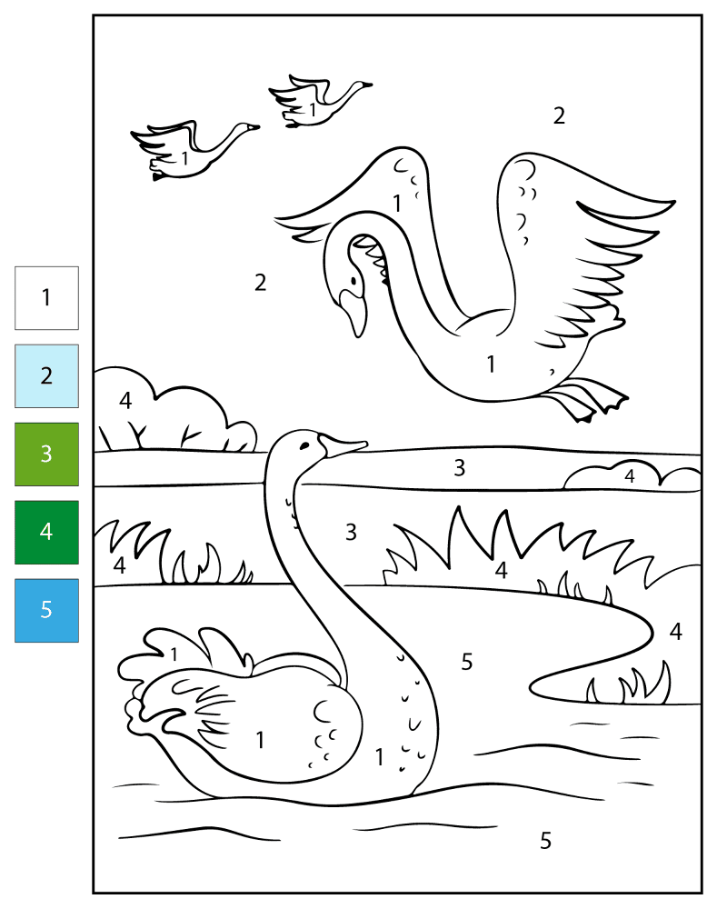 Desenho de Cisnes para colorir e imprimir: número 34