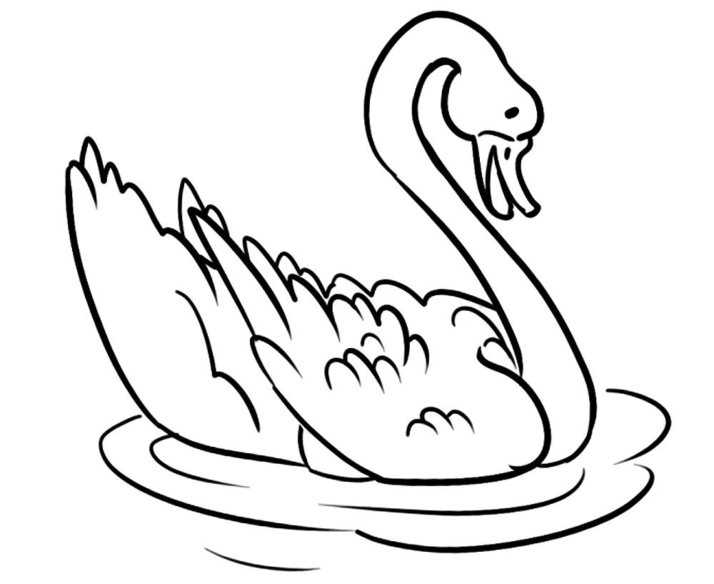 Desenho de Cisnes para colorir e imprimir: número 38