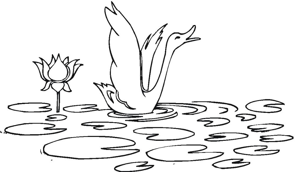 Desenho de Cisnes para colorir e imprimir: número 41