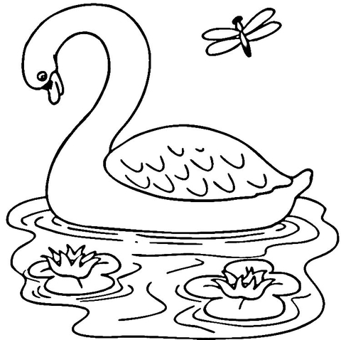 Desenho de Cisnes para colorir