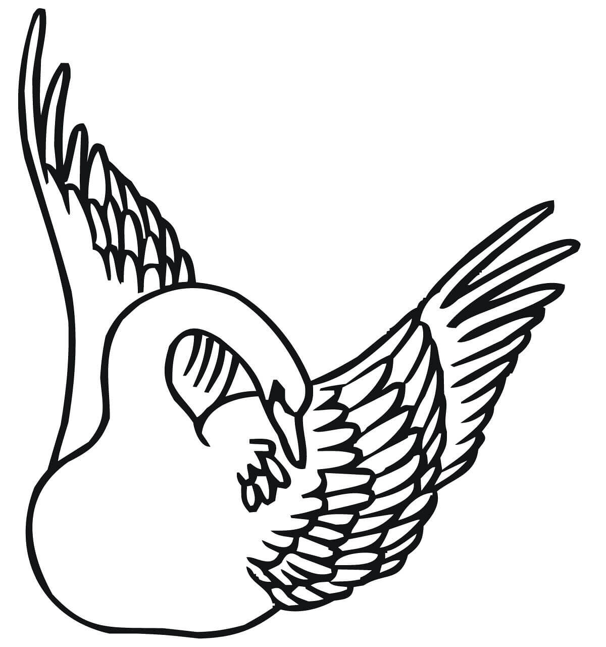 Desenho de Cisnes para colorir