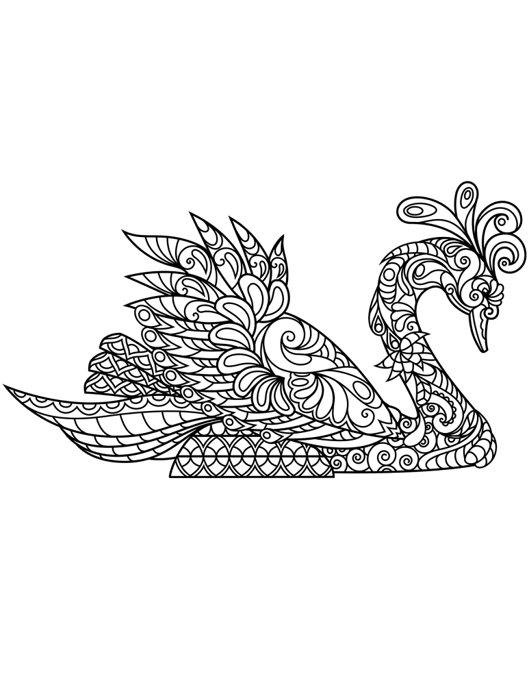Desenho de Cisnes para colorir