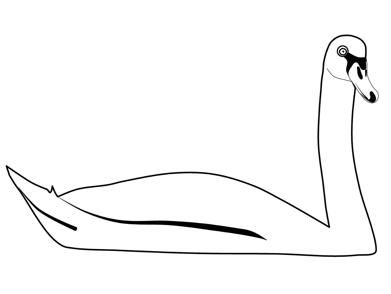 Desenho de Cisnes para colorir
