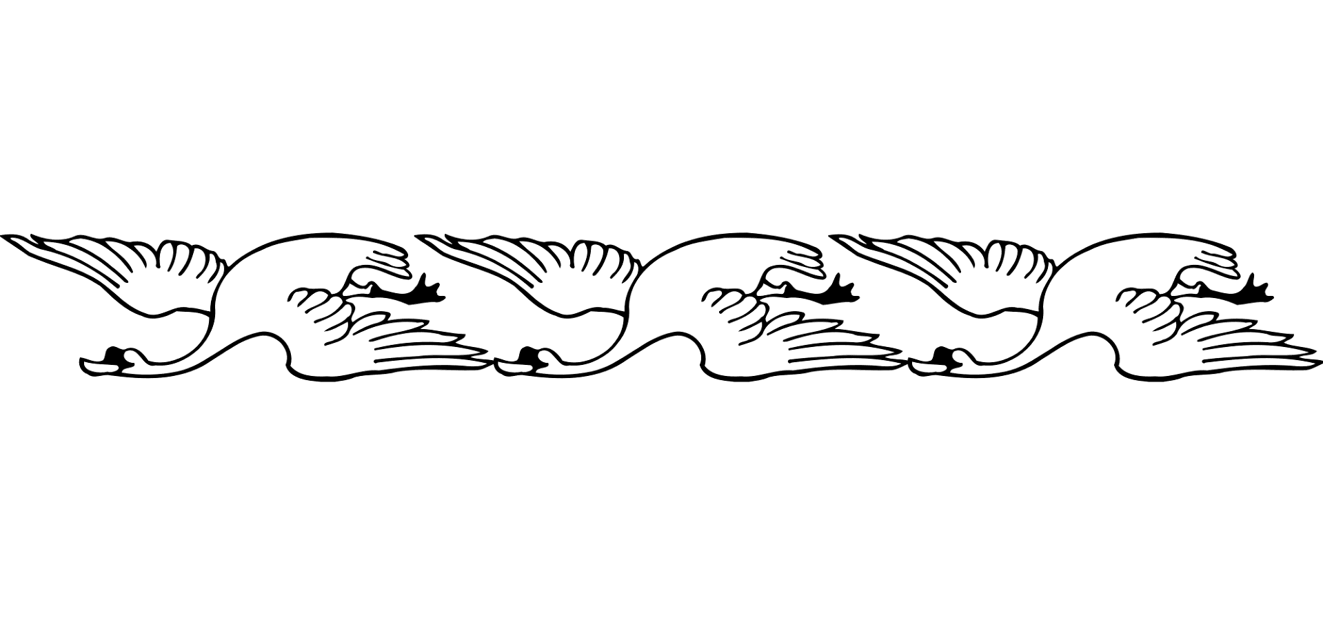 Desenho de Cisnes para colorir