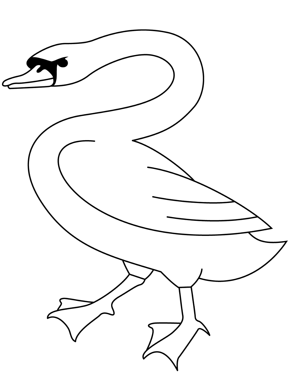 Desenho de Cisnes para colorir