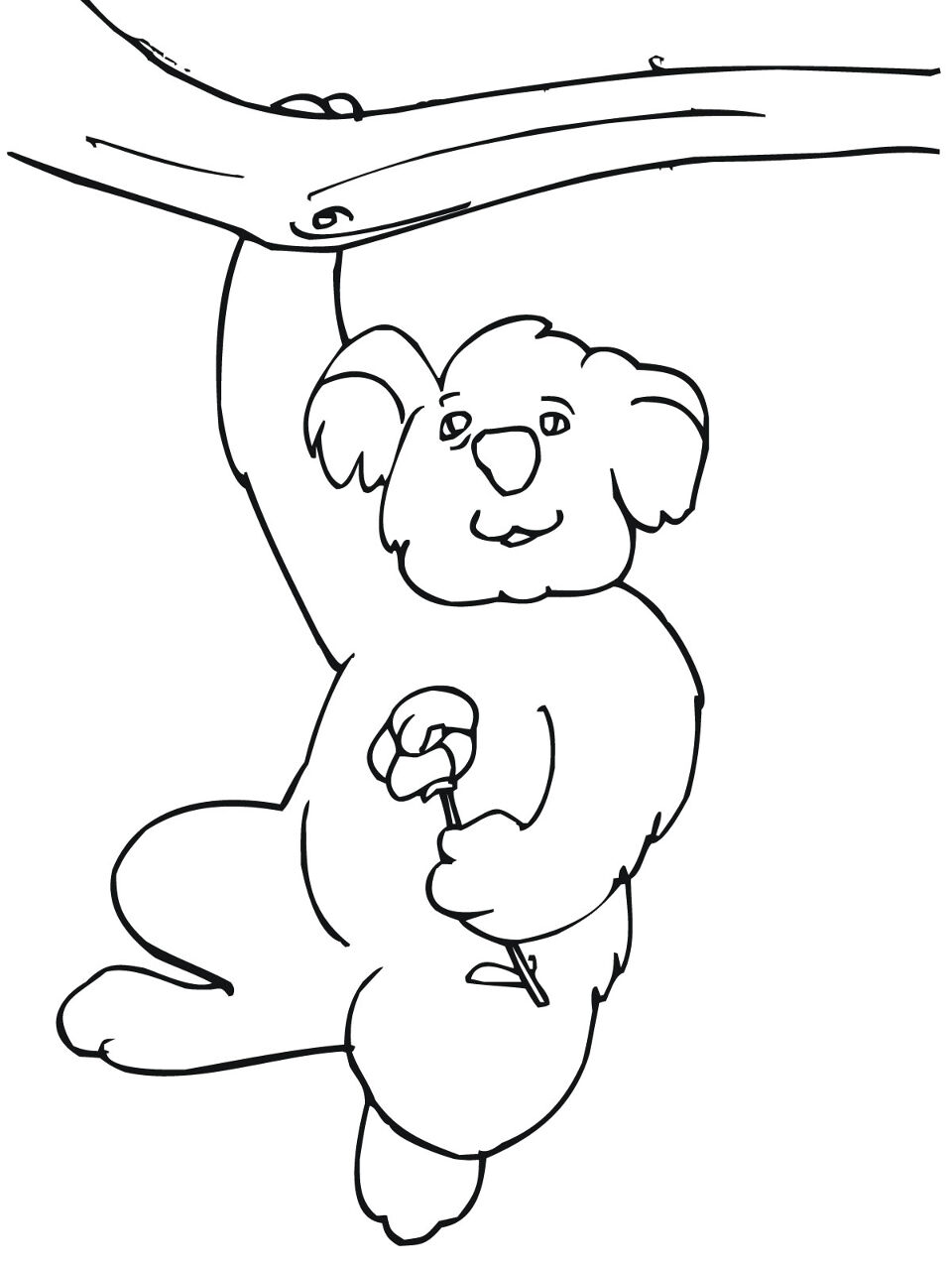 Desenho de Coalas para colorir e imprimir: número 35