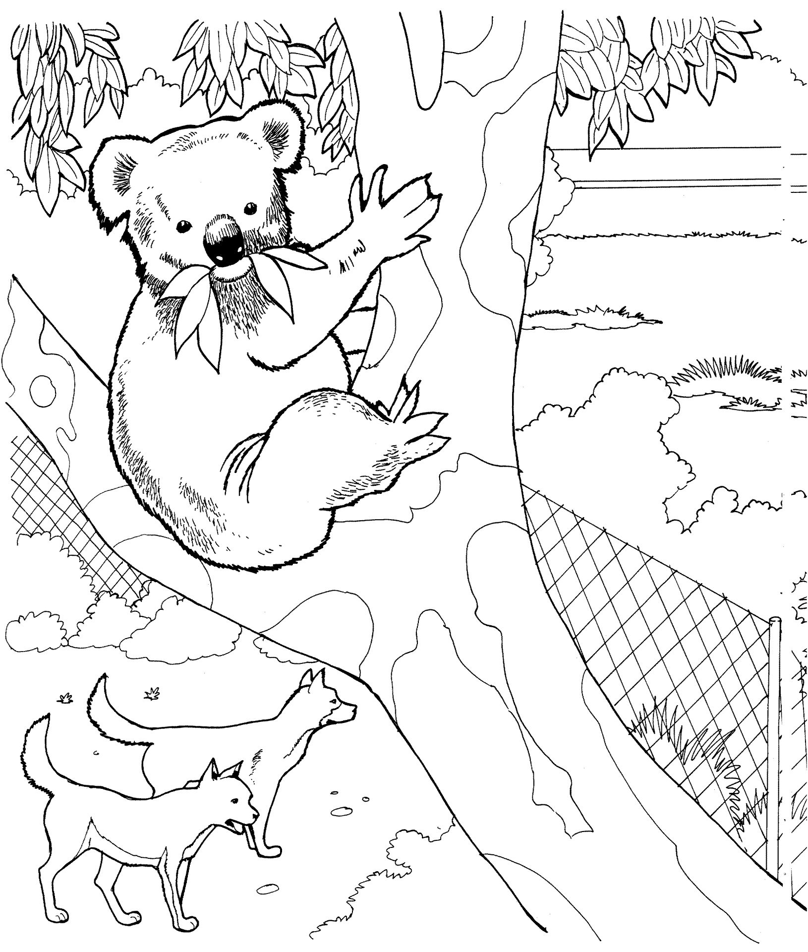 Desenho de Coalas para colorir e imprimir: número 42