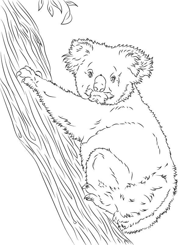 Desenho de Coalas para colorir e imprimir: número 46