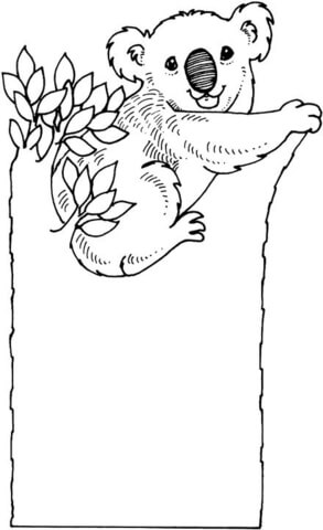 Desenho de Coalas para colorir