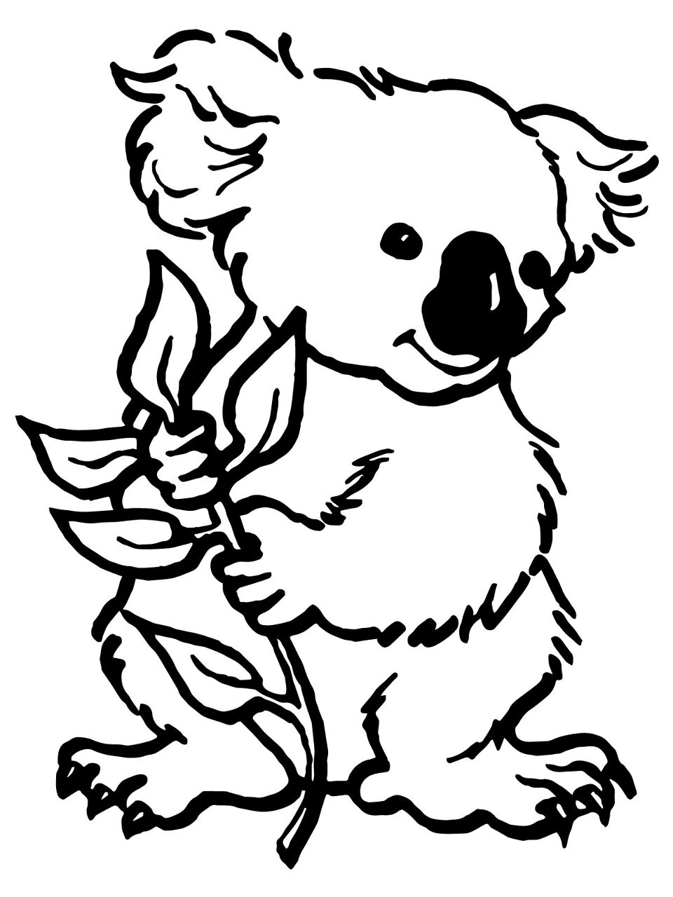 Desenho de Coalas para colorir