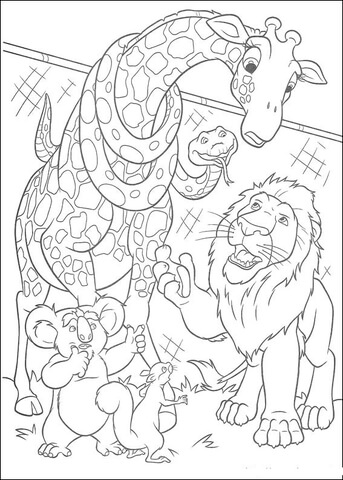 Desenho de Coalas para colorir