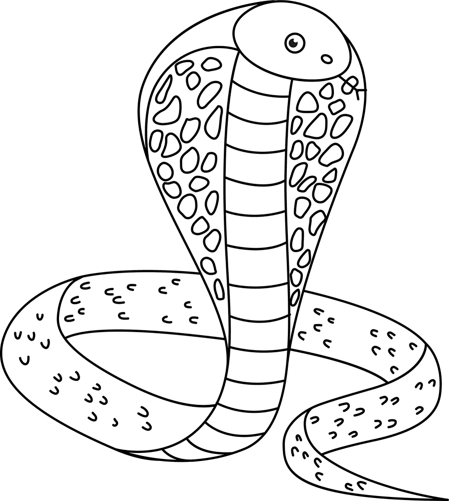 Desenho de Cobras para colorir e imprimir: número 5