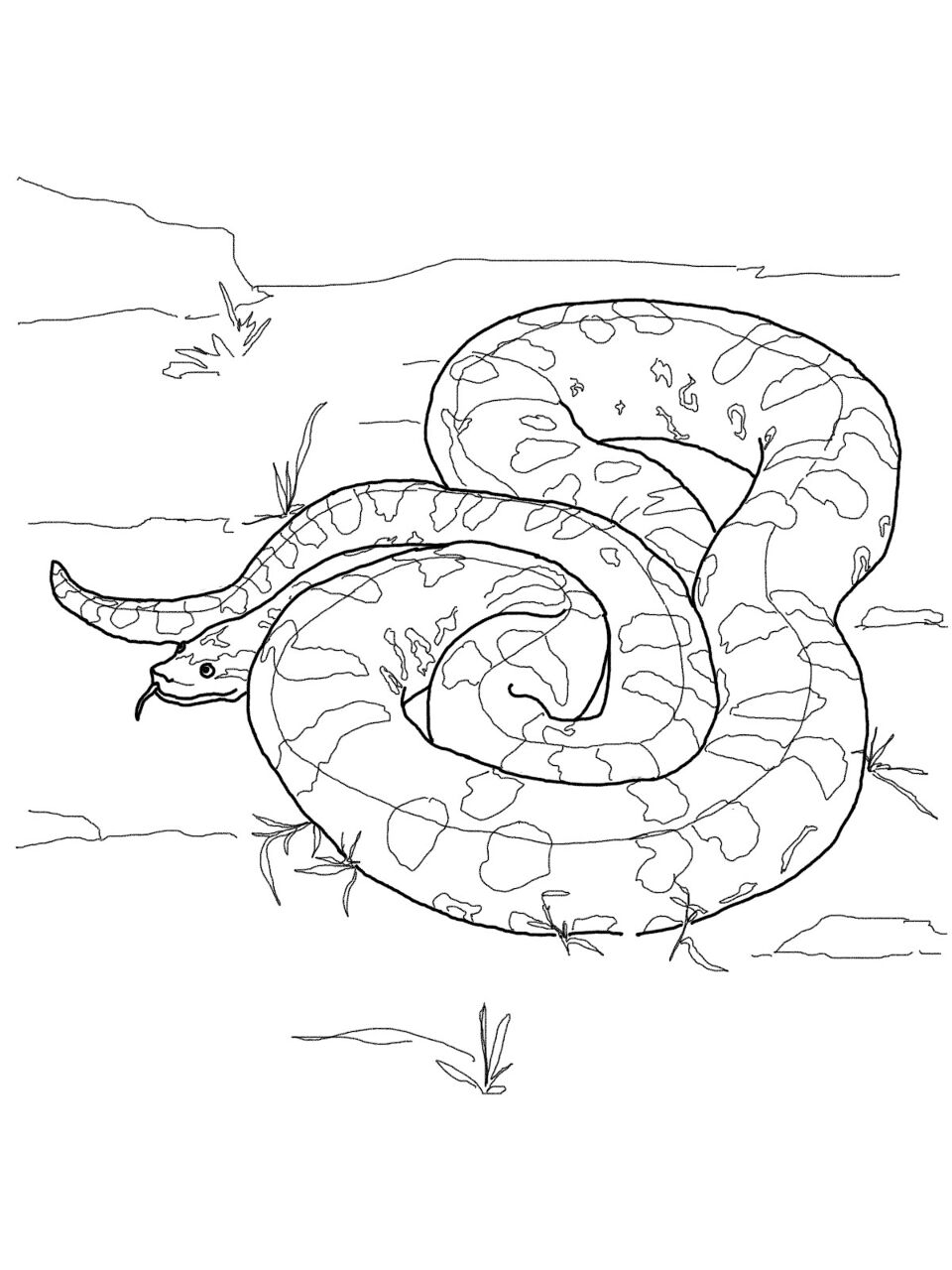 Desenho de Cobras para colorir e imprimir: número 9