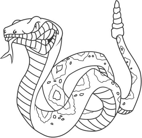 Desenho de Cobras para colorir e imprimir: número 10