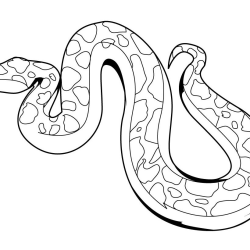 Desenho de Cobras para colorir e imprimir: número 22