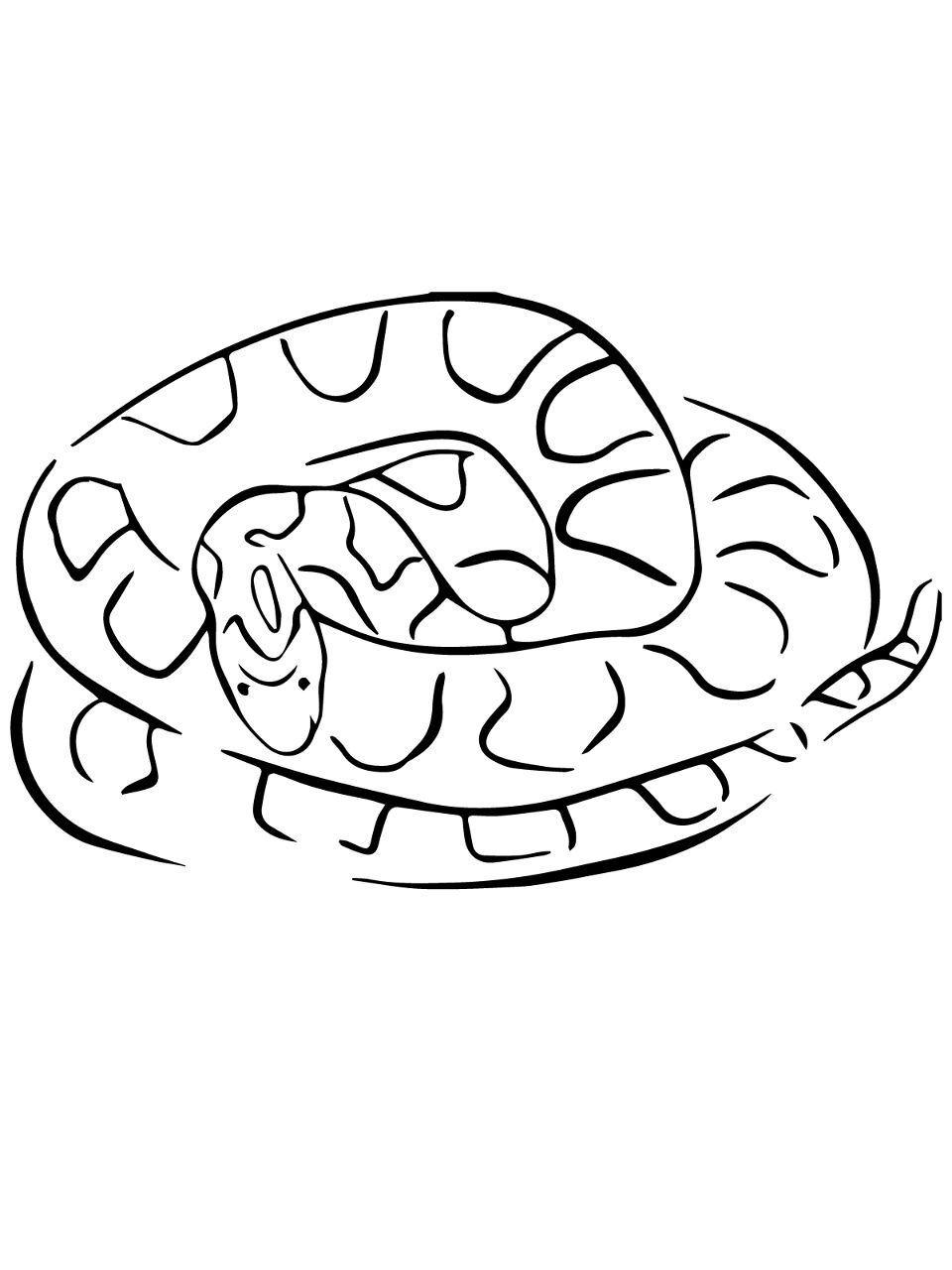Desenho de Cobras para colorir e imprimir: número 27