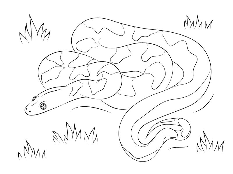Desenho de Cobras para colorir e imprimir: número 29