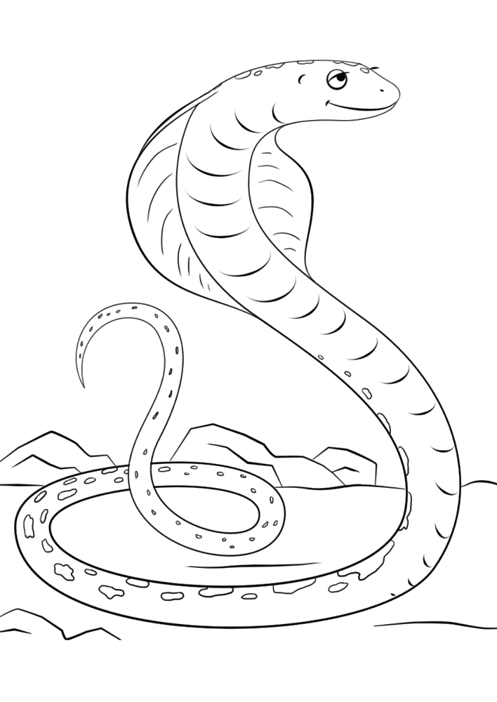 Desenho de Cobras para colorir e imprimir: número 30