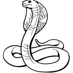 Desenho de Cobras para colorir e imprimir: número 38