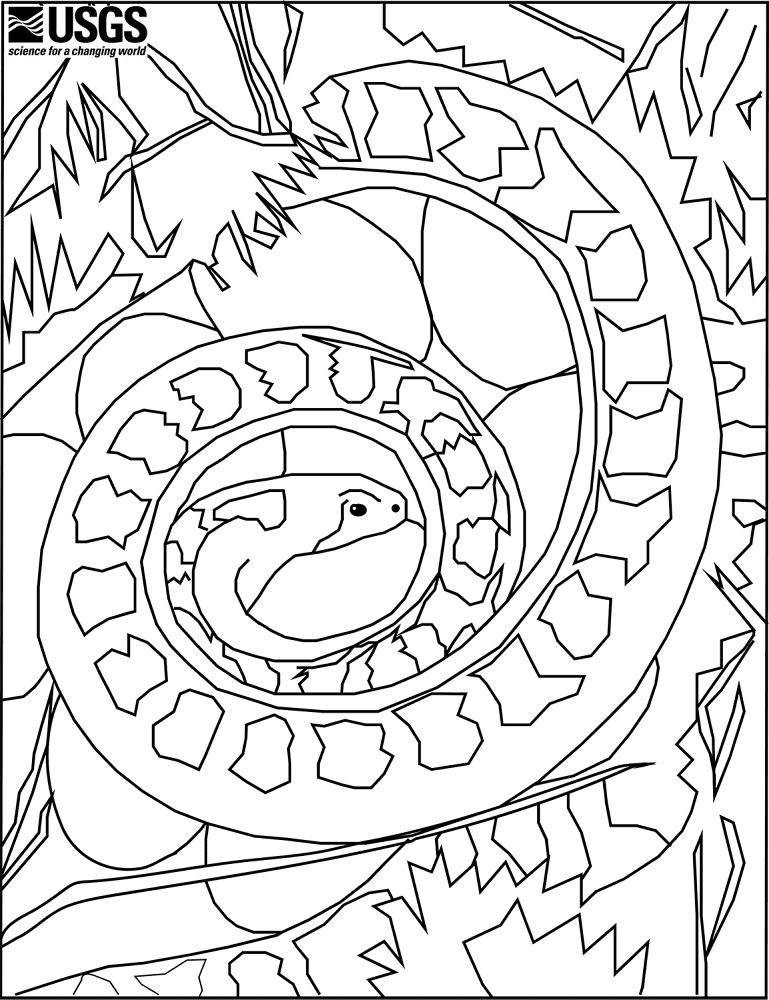 Desenho de Cobras para colorir e imprimir: número 48