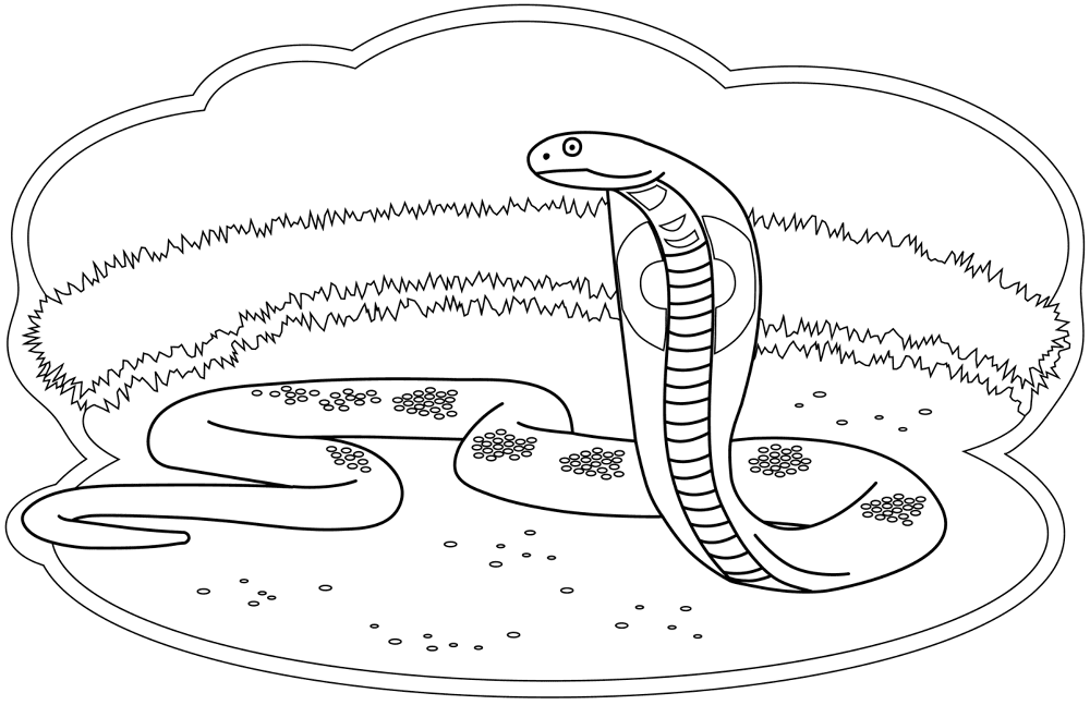 Desenho de Cobras para colorir