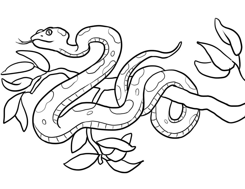 Desenho de Cobras para colorir
