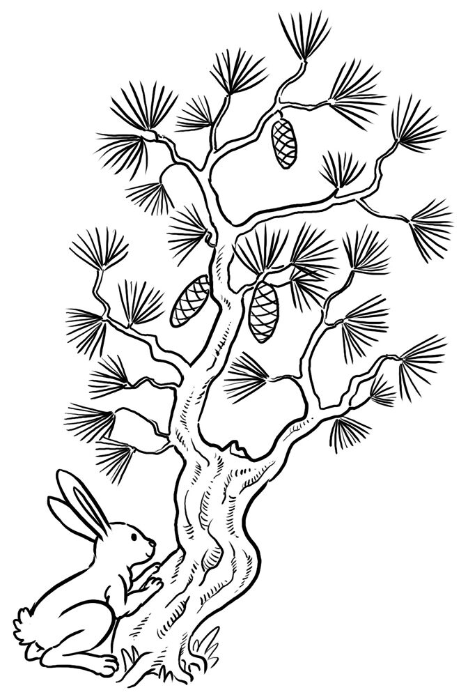 Desenho de Coelhos para colorir e imprimir: número 4