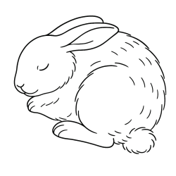 Desenho de Coelhos para colorir e imprimir: número 22