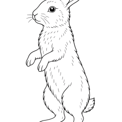 Desenho de Coelhos para colorir e imprimir: número 28