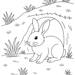 Desenho de Coelhos para colorir e imprimir: número 30