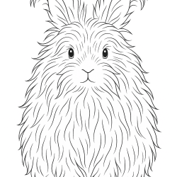 Desenho de Coelhos para colorir e imprimir: número 33