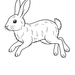 Desenho de Coelhos para colorir e imprimir: número 34