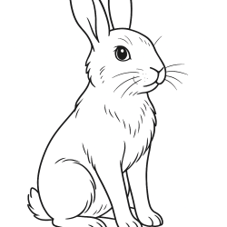 Desenho de Coelhos para colorir e imprimir: número 35